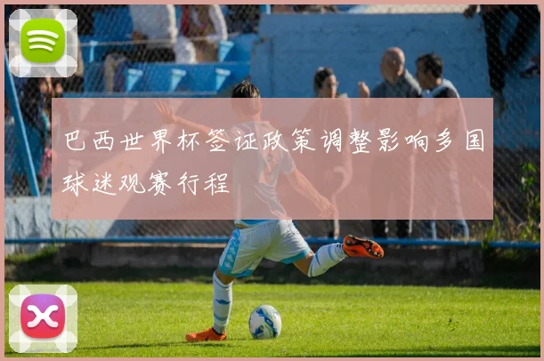 巴西世界杯签证政策调整影响多国球迷观赛行程